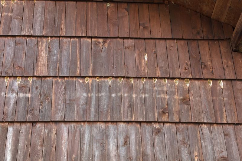 Woodpecker Hole Patching Service